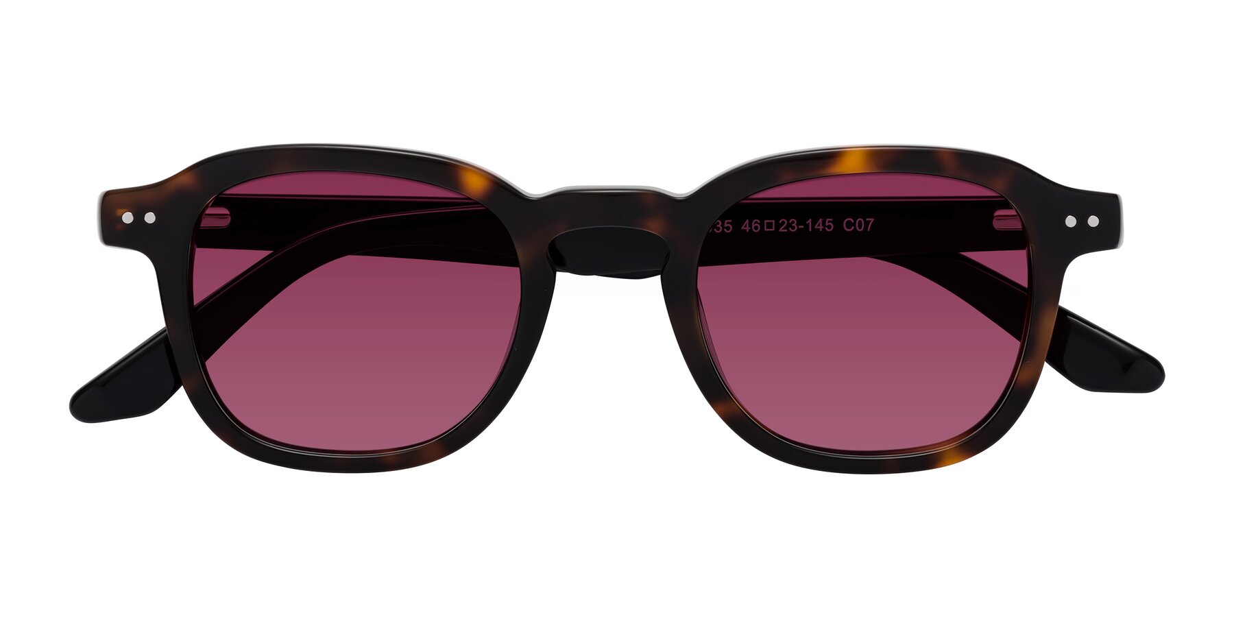 Folded Front of Nice in Tortoise-Black with Wine Tinted Lenses