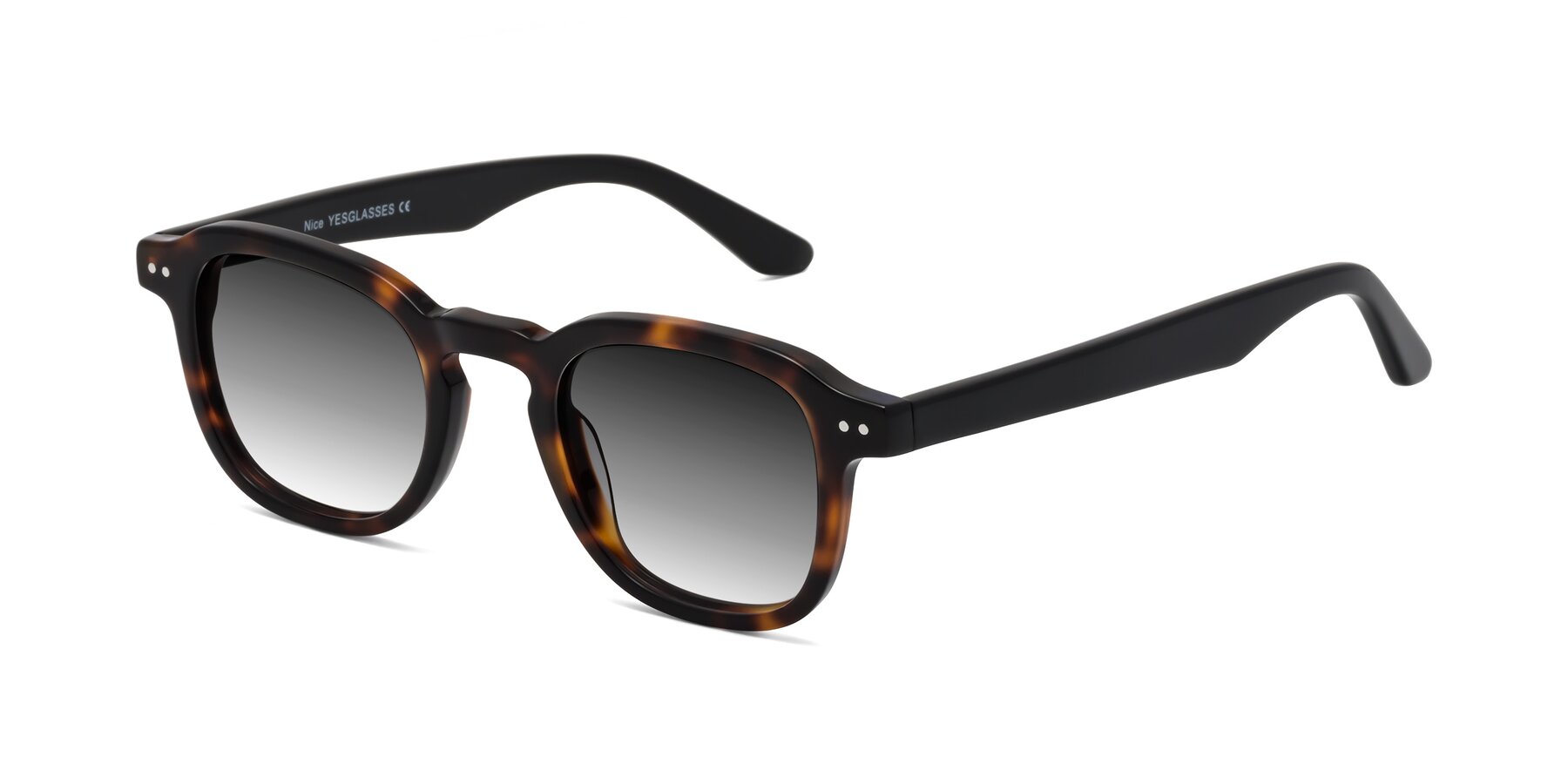 Angle of Nice in Tortoise-Black with Gray Gradient Lenses