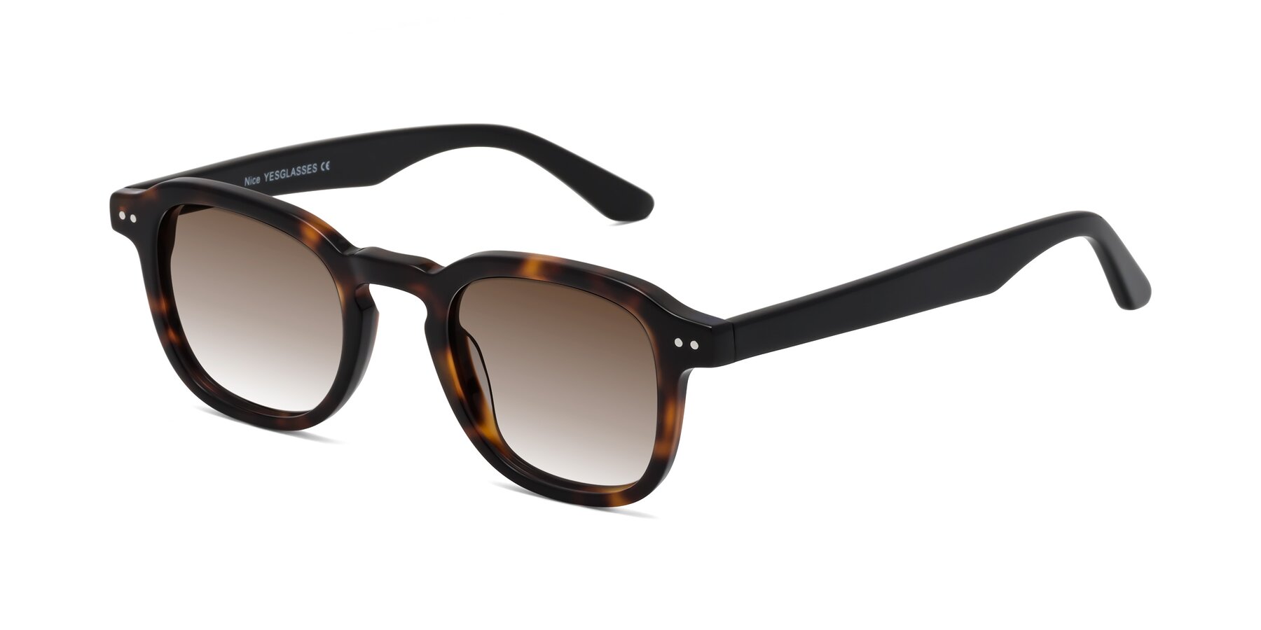 Angle of Nice in Tortoise-Black with Brown Gradient Lenses