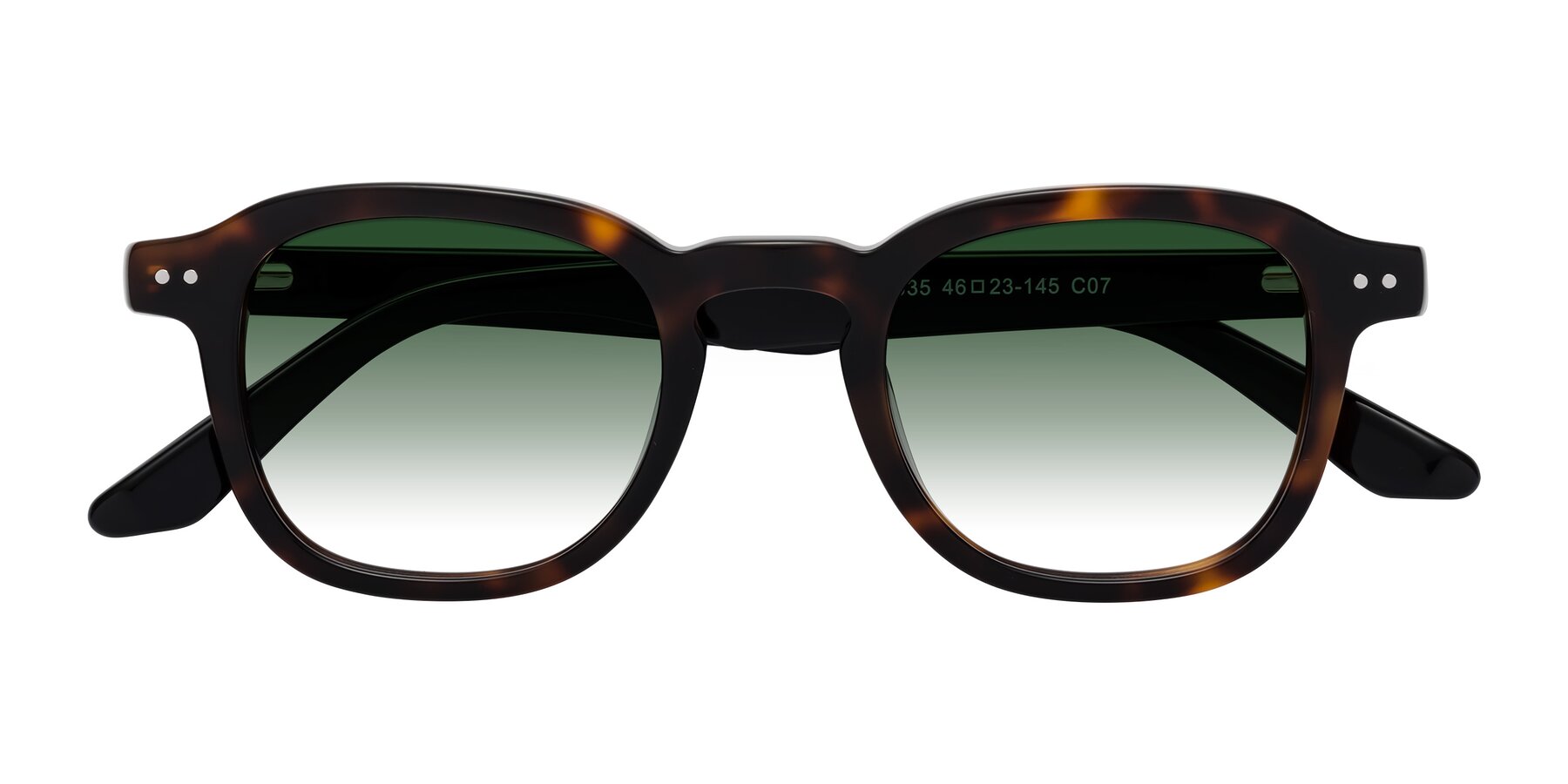 Folded Front of Nice in Tortoise-Black with Green Gradient Lenses