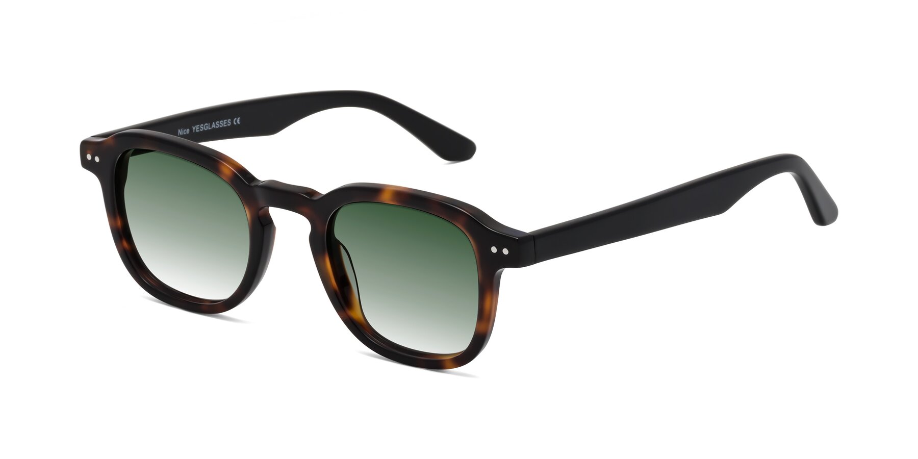 Angle of Nice in Tortoise-Black with Green Gradient Lenses