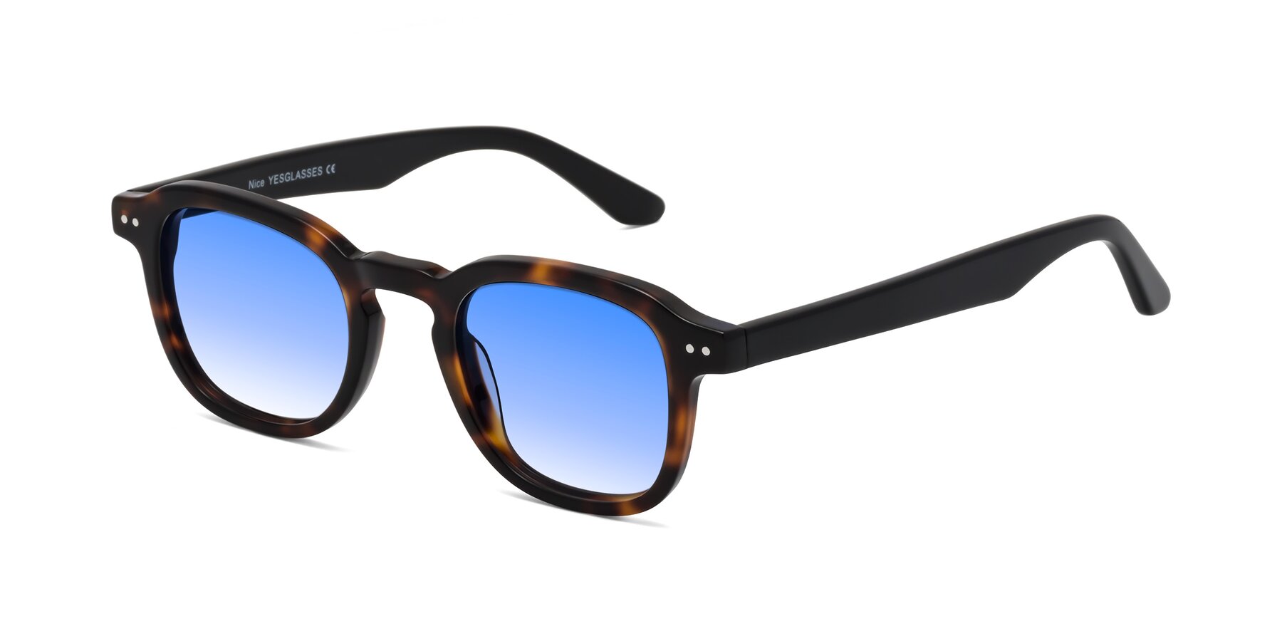 Angle of Nice in Tortoise-Black with Blue Gradient Lenses