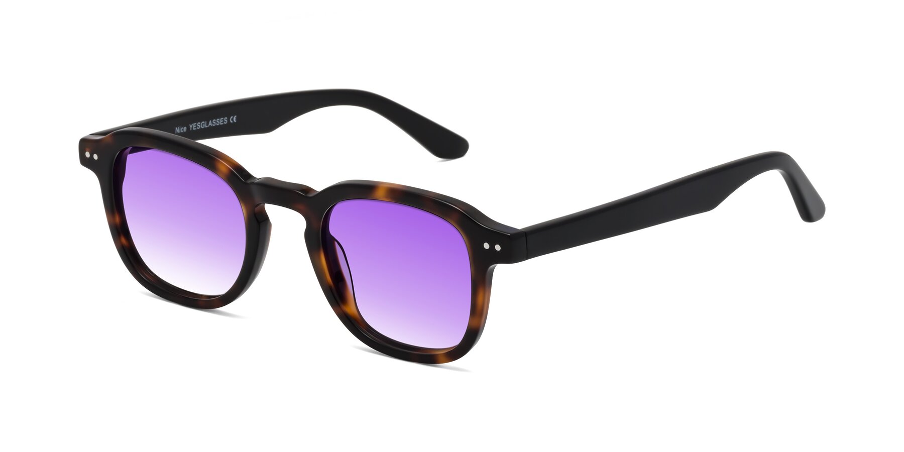 Angle of Nice in Tortoise-Black with Purple Gradient Lenses