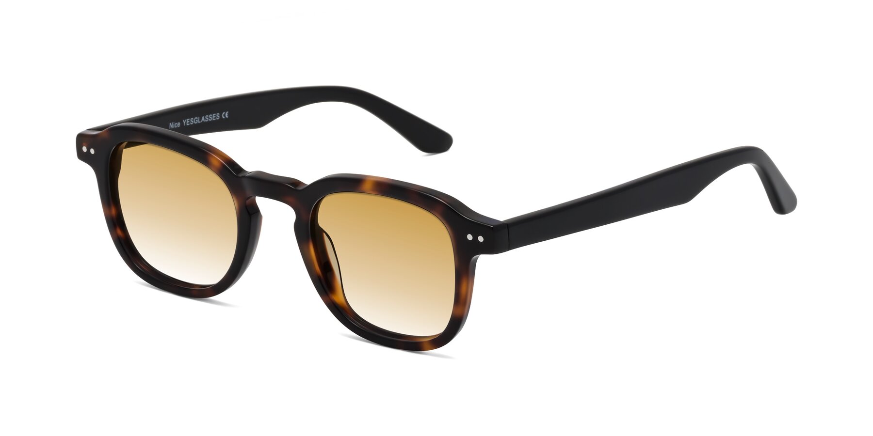 Angle of Nice in Tortoise-Black with Champagne Gradient Lenses