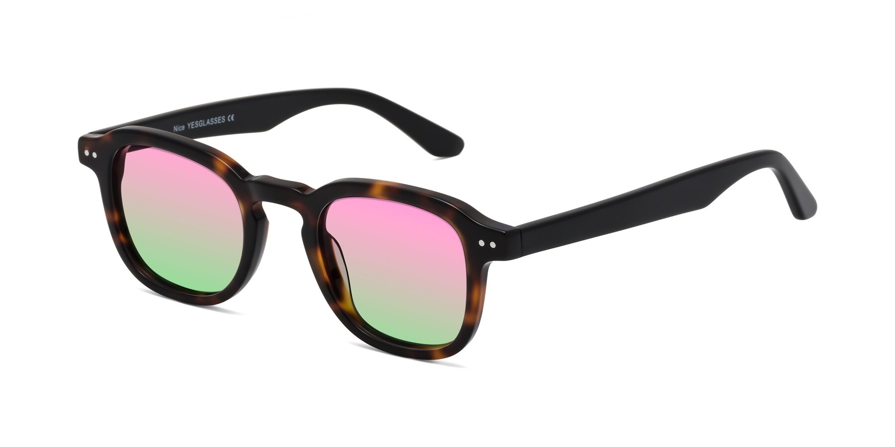 Angle of Nice in Tortoise-Black with Pink / Green Gradient Lenses