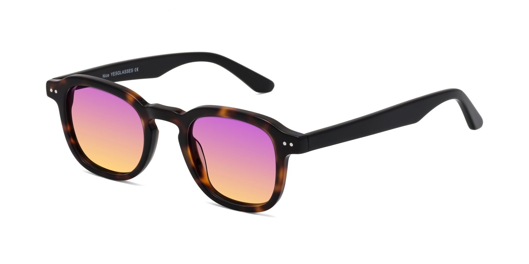 Angle of Nice in Tortoise-Black with Purple / Yellow Gradient Lenses