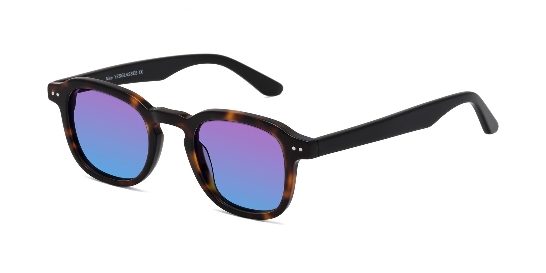 Angle of Nice in Tortoise-Black with Purple / Blue Gradient Lenses