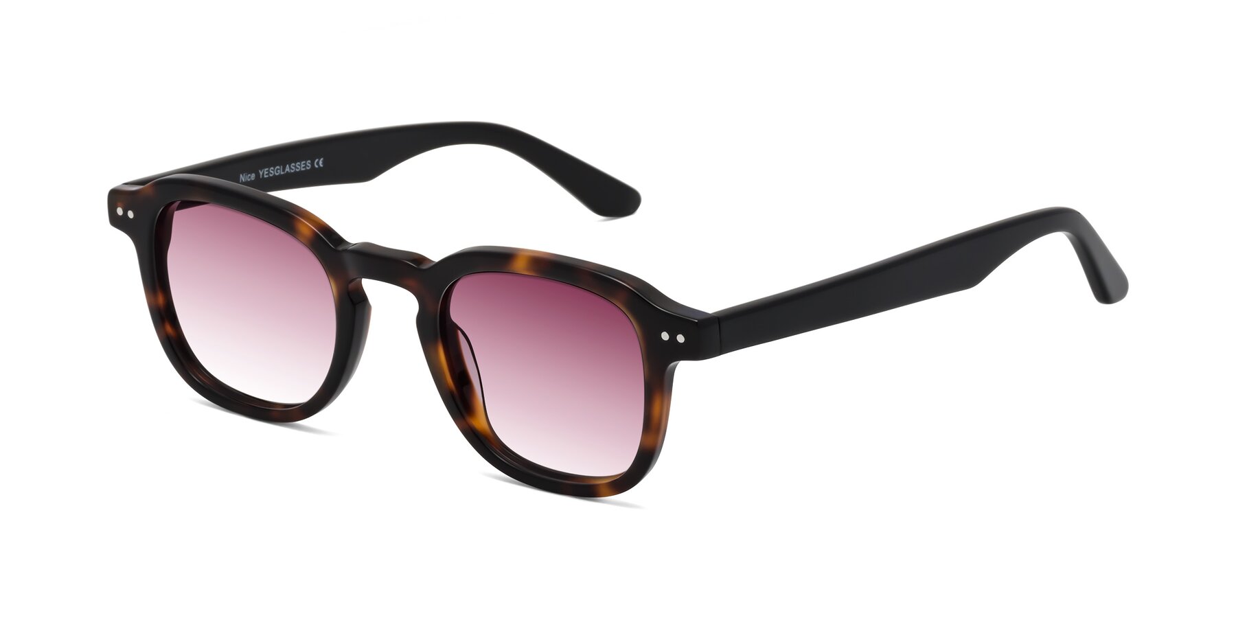 Angle of Nice in Tortoise-Black with Wine Gradient Lenses