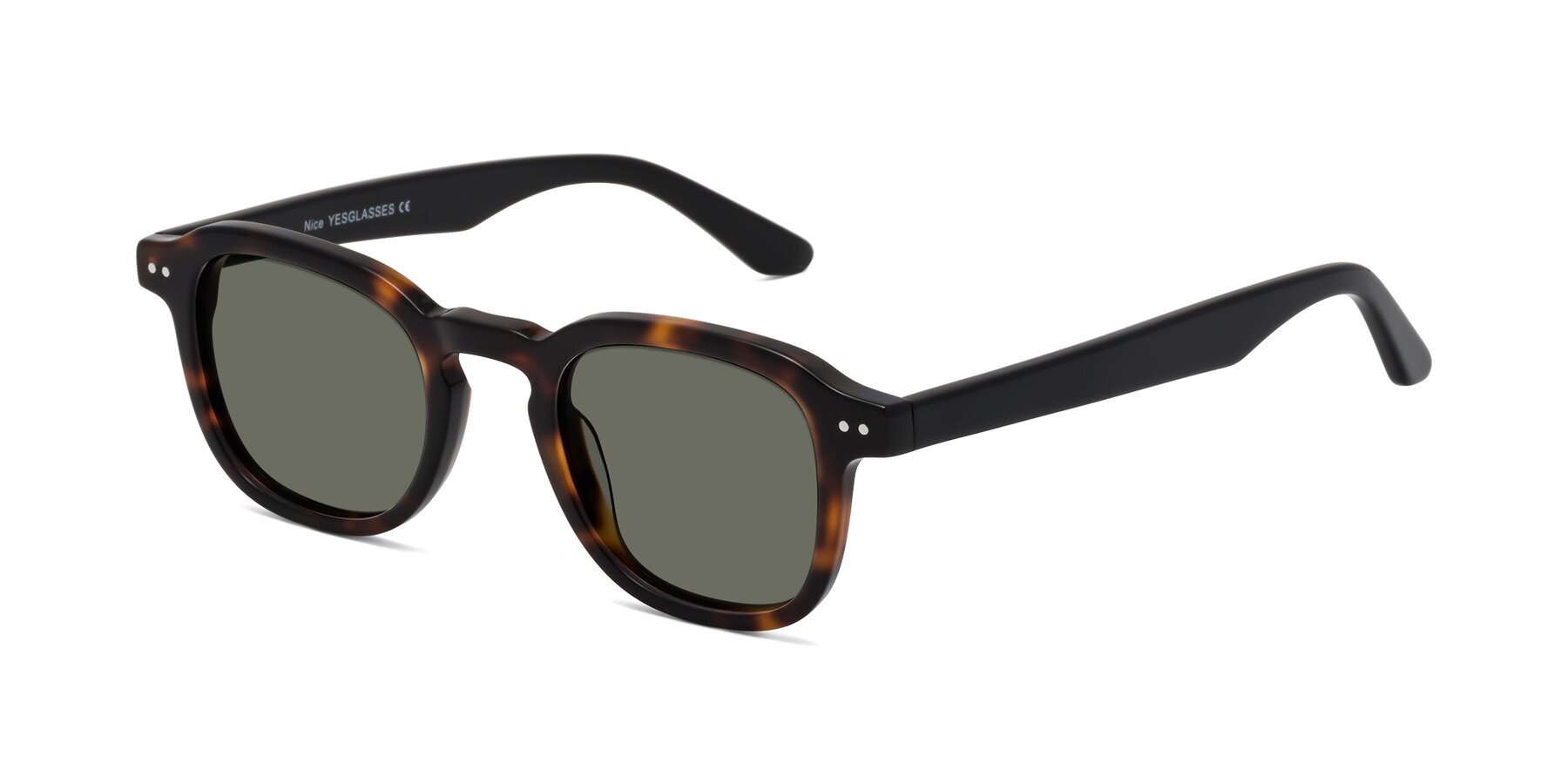 Angle of Nice in Tortoise-Black with Gray Polarized Lenses