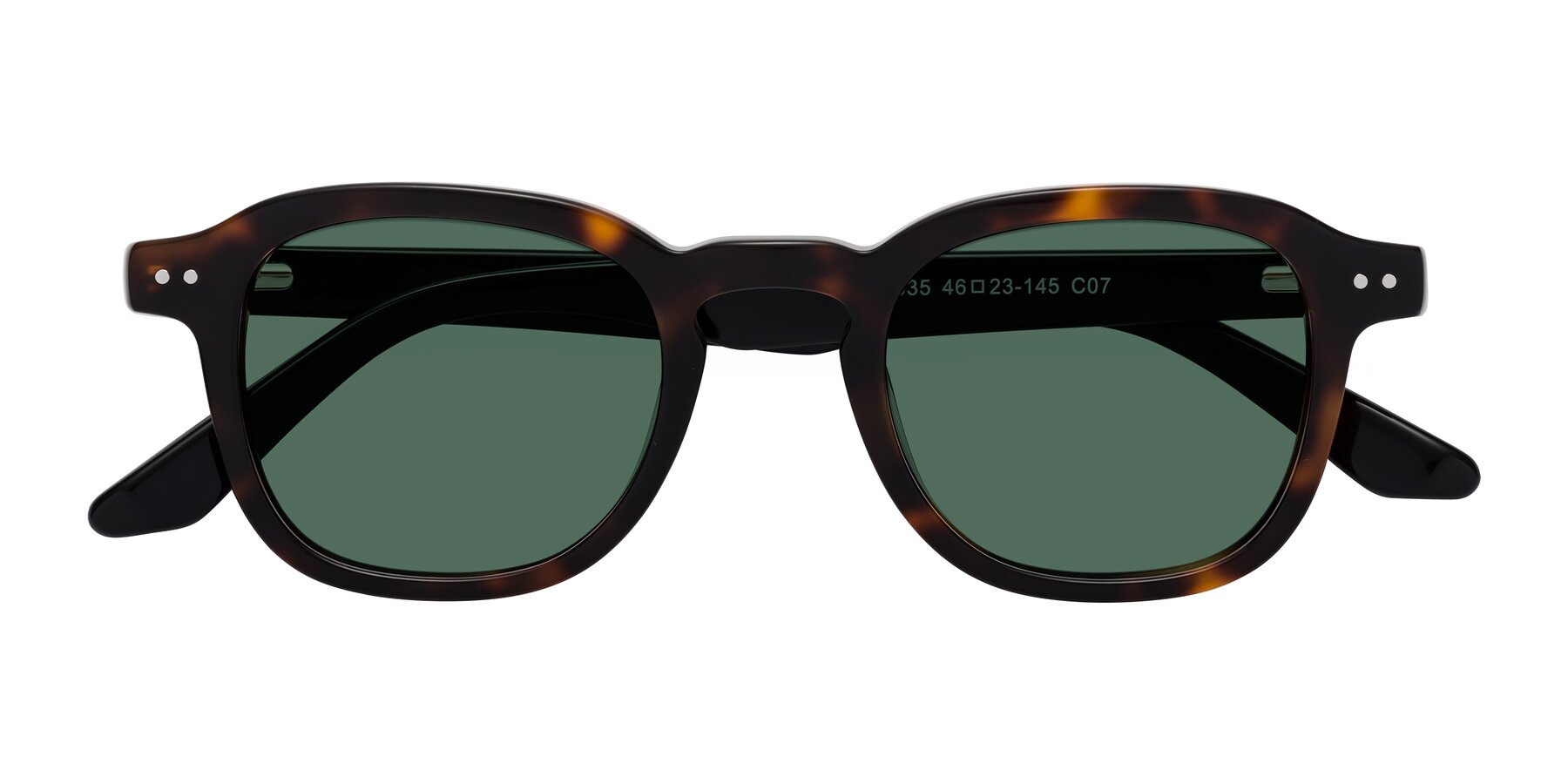 Folded Front of Nice in Tortoise-Black with Green Polarized Lenses