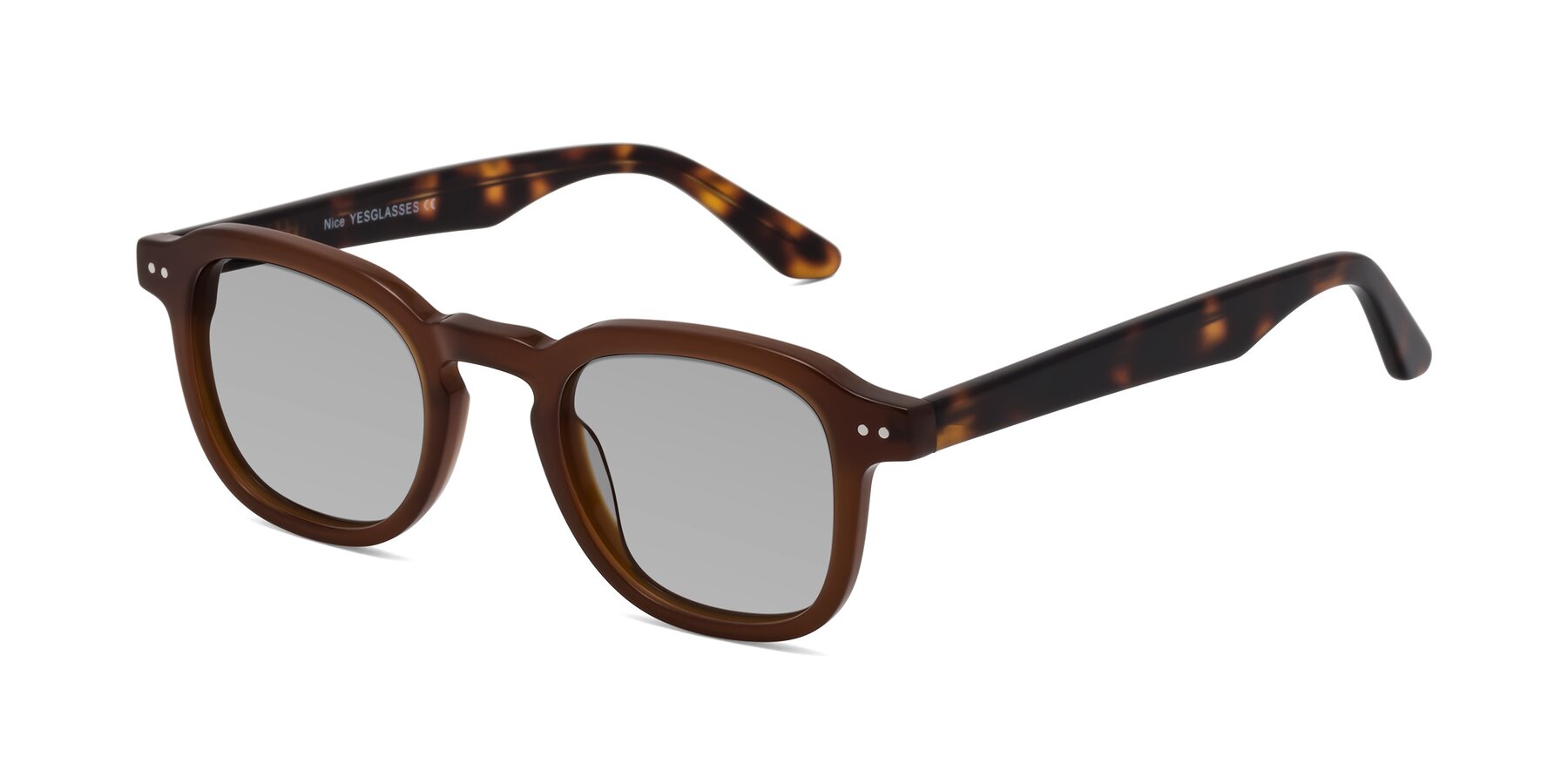 Angle of Nice in Brown-Tortoise with Light Gray Tinted Lenses