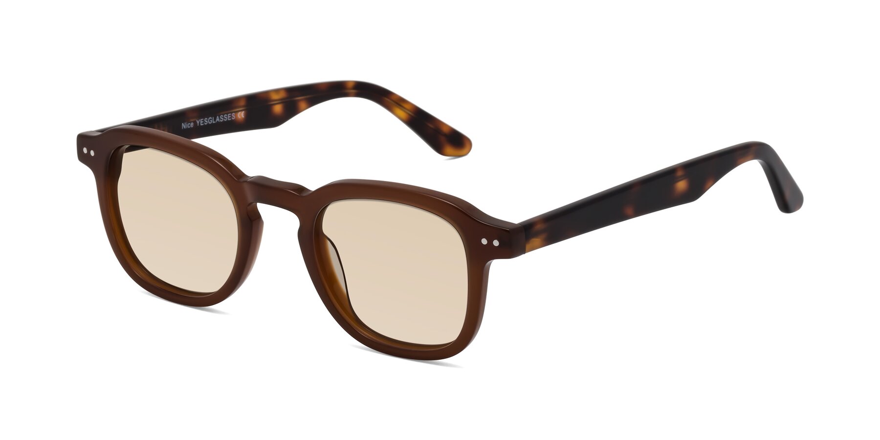 Angle of Nice in Brown-Tortoise with Light Brown Tinted Lenses