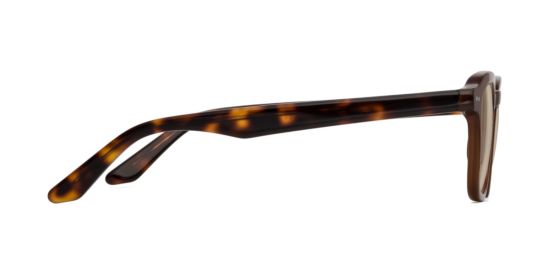 Side of Nice in Brown-Tortoise with Light Brown Tinted Lenses