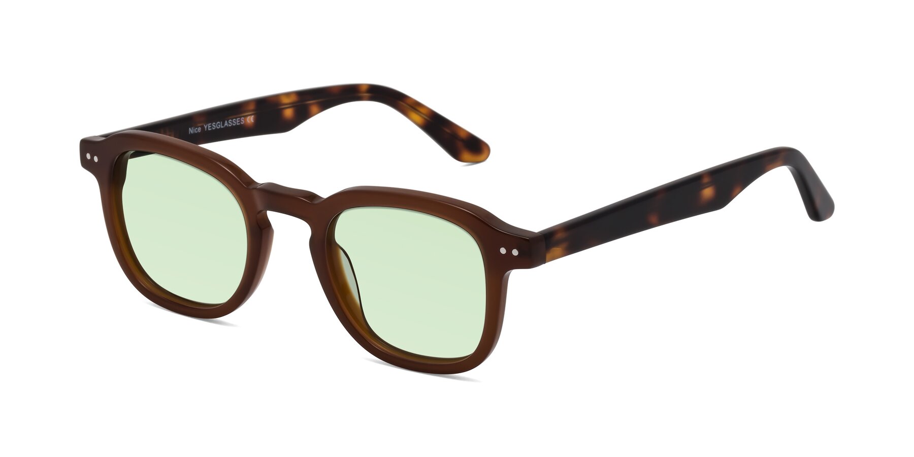 Angle of Nice in Brown-Tortoise with Light Green Tinted Lenses