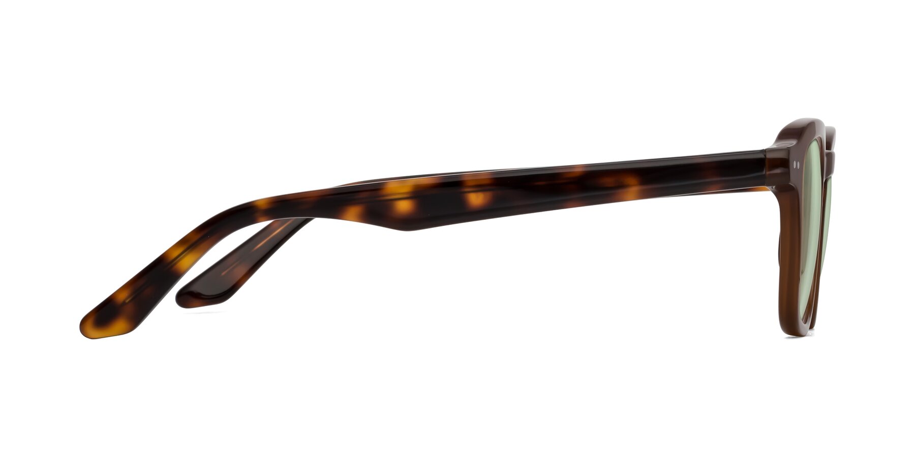 Side of Nice in Brown-Tortoise with Light Green Tinted Lenses