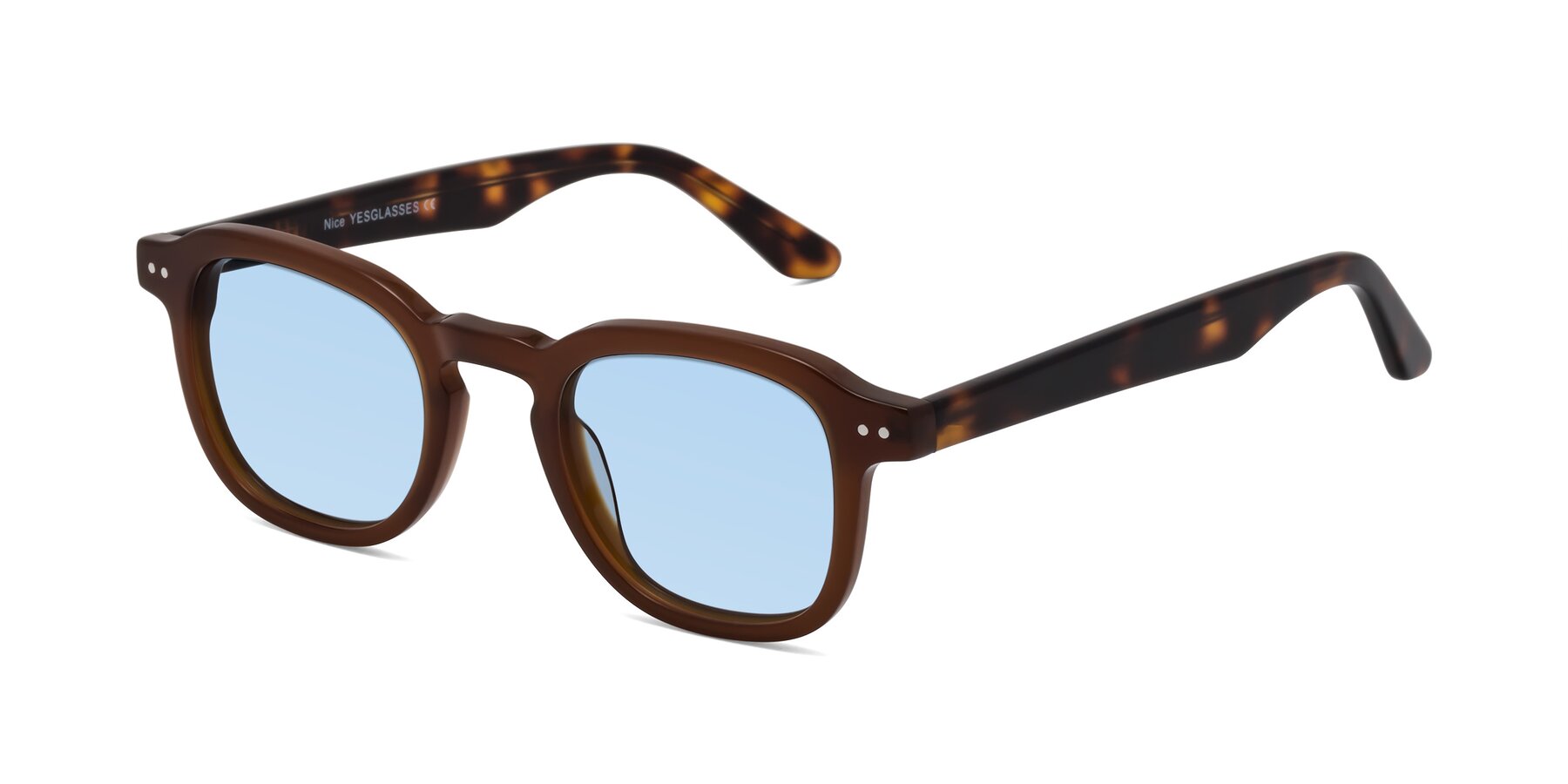 Angle of Nice in Brown-Tortoise with Light Blue Tinted Lenses