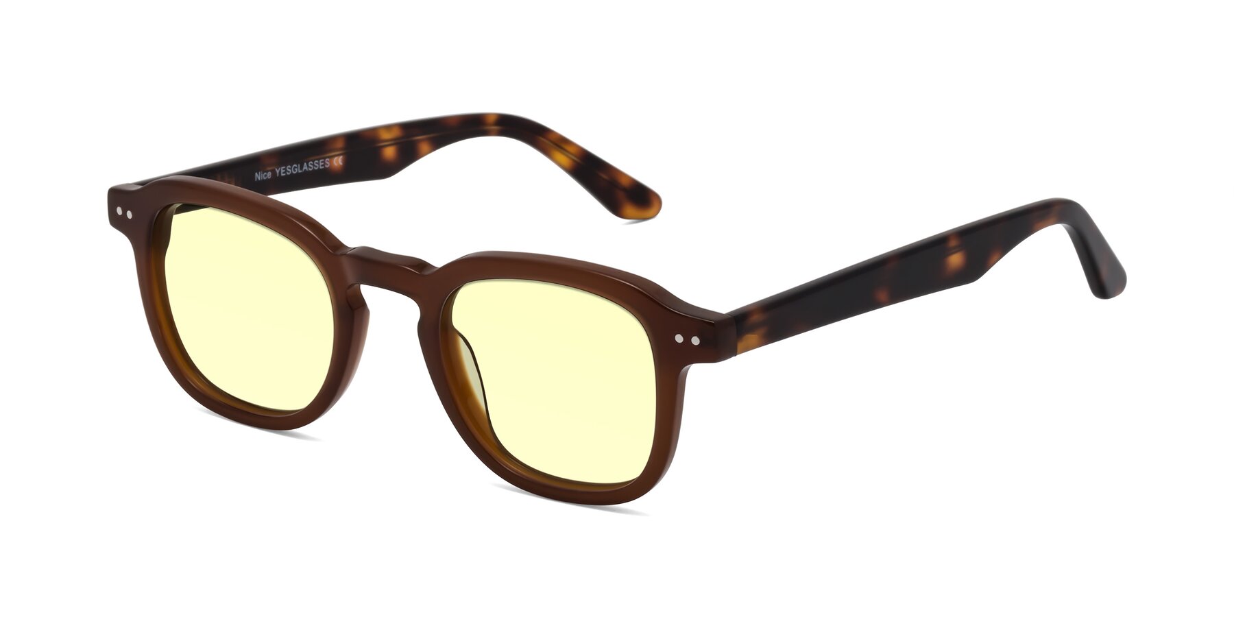 Angle of Nice in Brown-Tortoise with Light Yellow Tinted Lenses