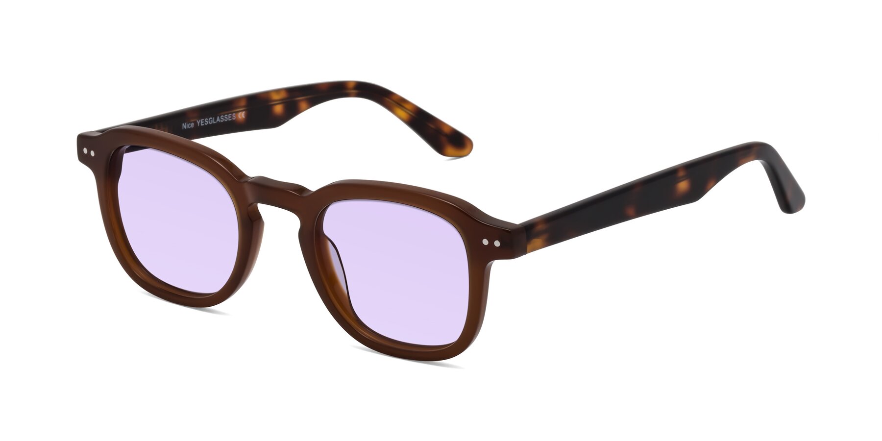 Angle of Nice in Brown-Tortoise with Light Purple Tinted Lenses