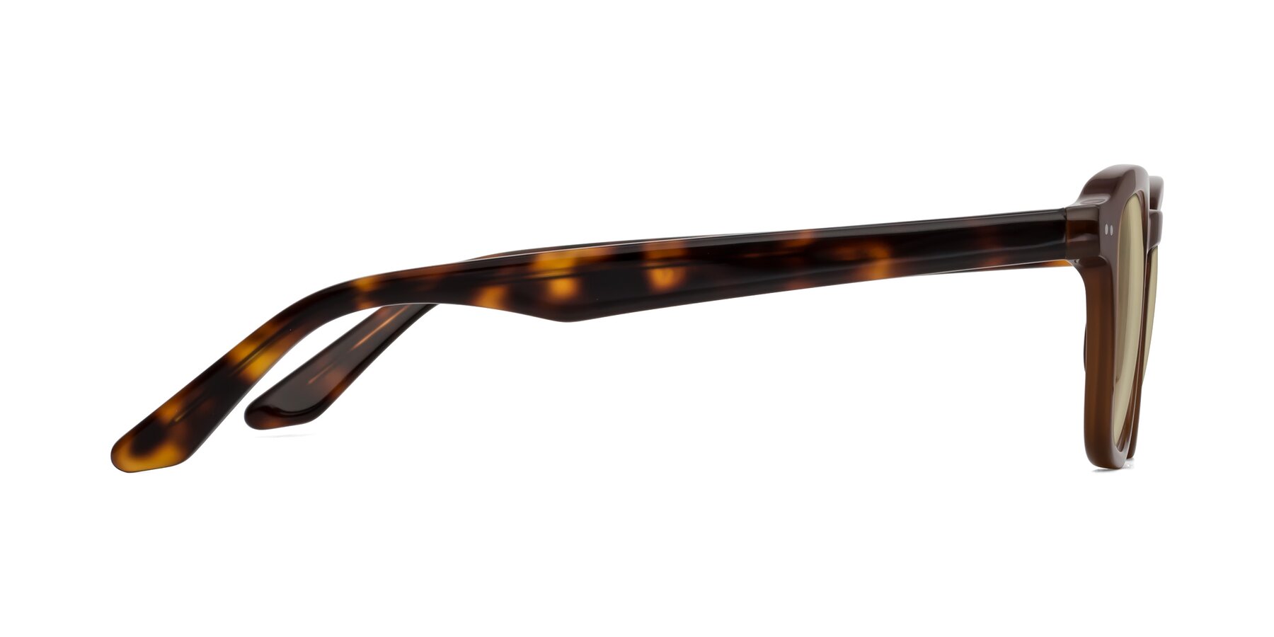 Side of Nice in Brown-Tortoise with Light Champagne Tinted Lenses