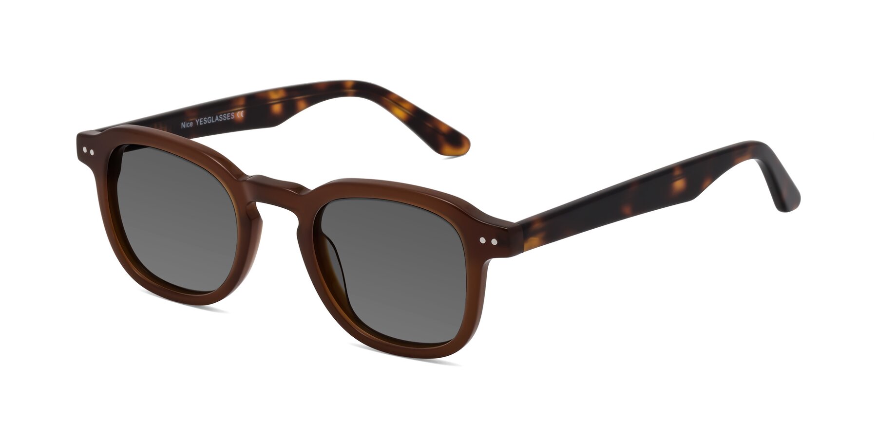 Angle of Nice in Brown-Tortoise with Medium Gray Tinted Lenses