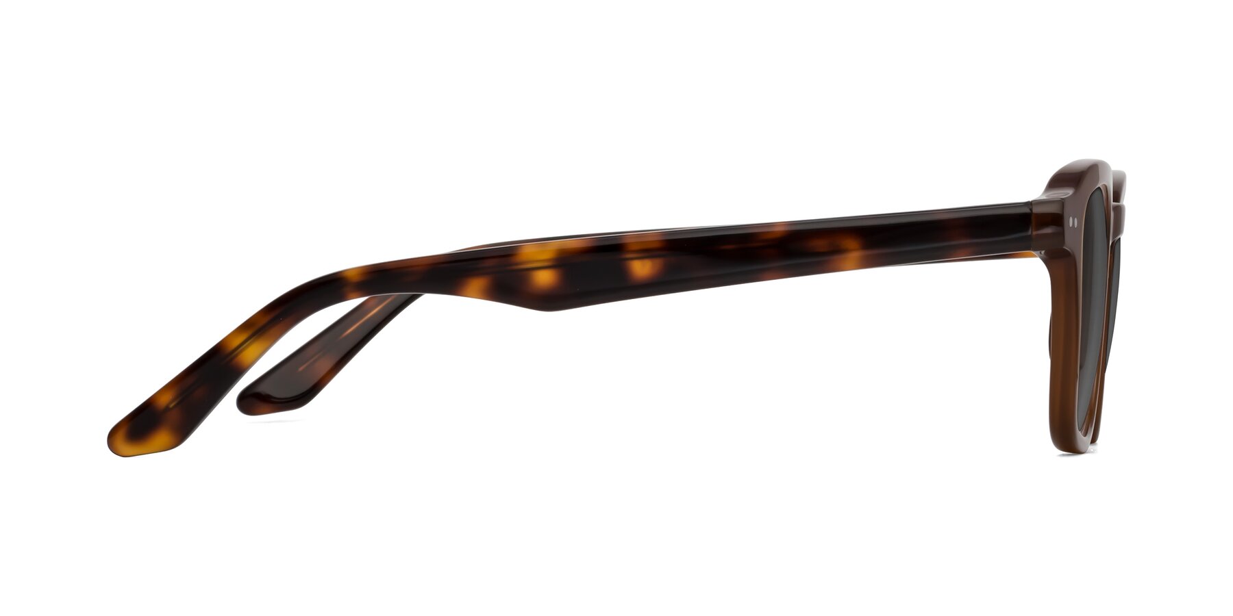 Side of Nice in Brown-Tortoise with Medium Gray Tinted Lenses