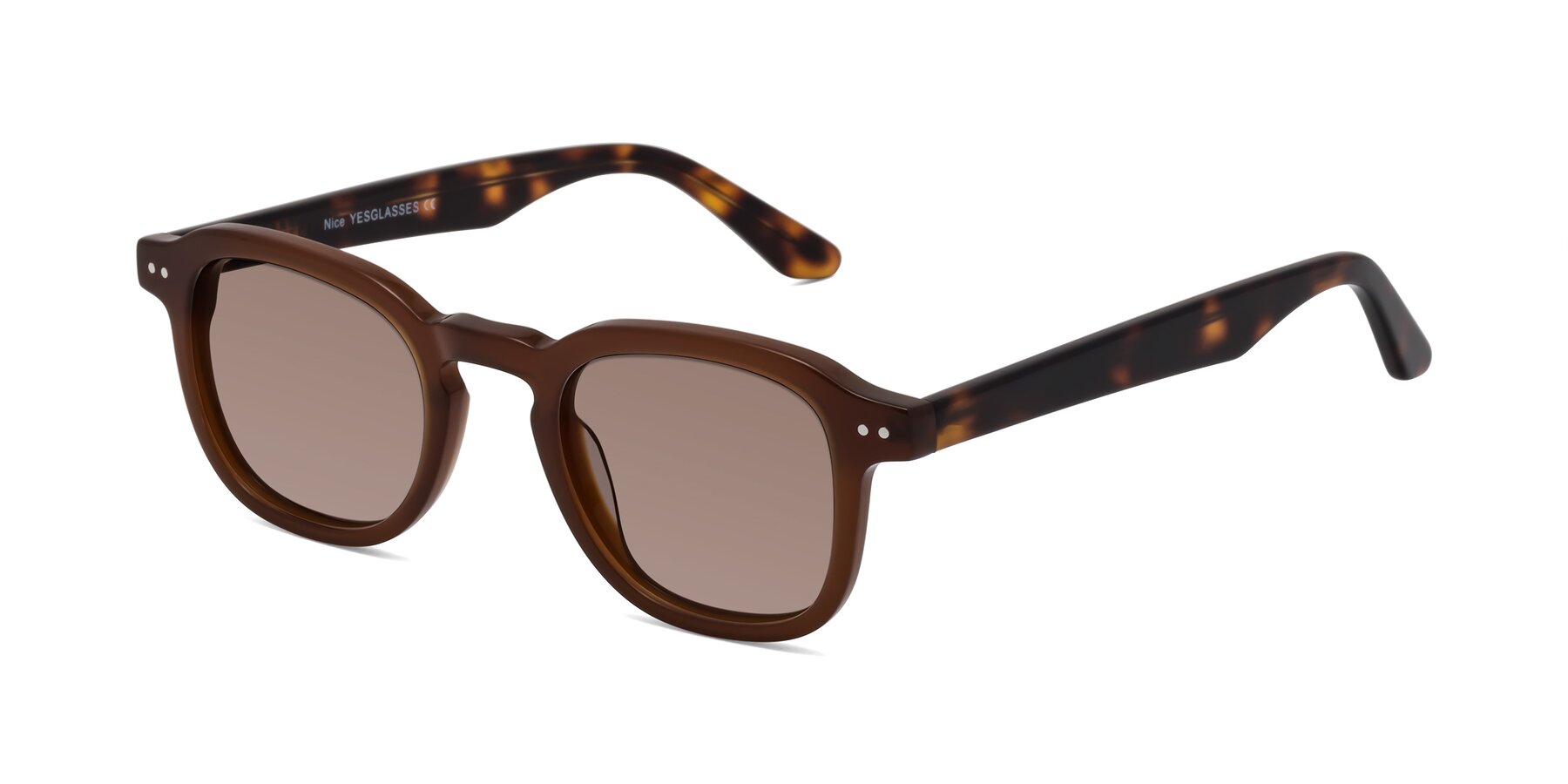 Angle of Nice in Brown-Tortoise with Medium Brown Tinted Lenses