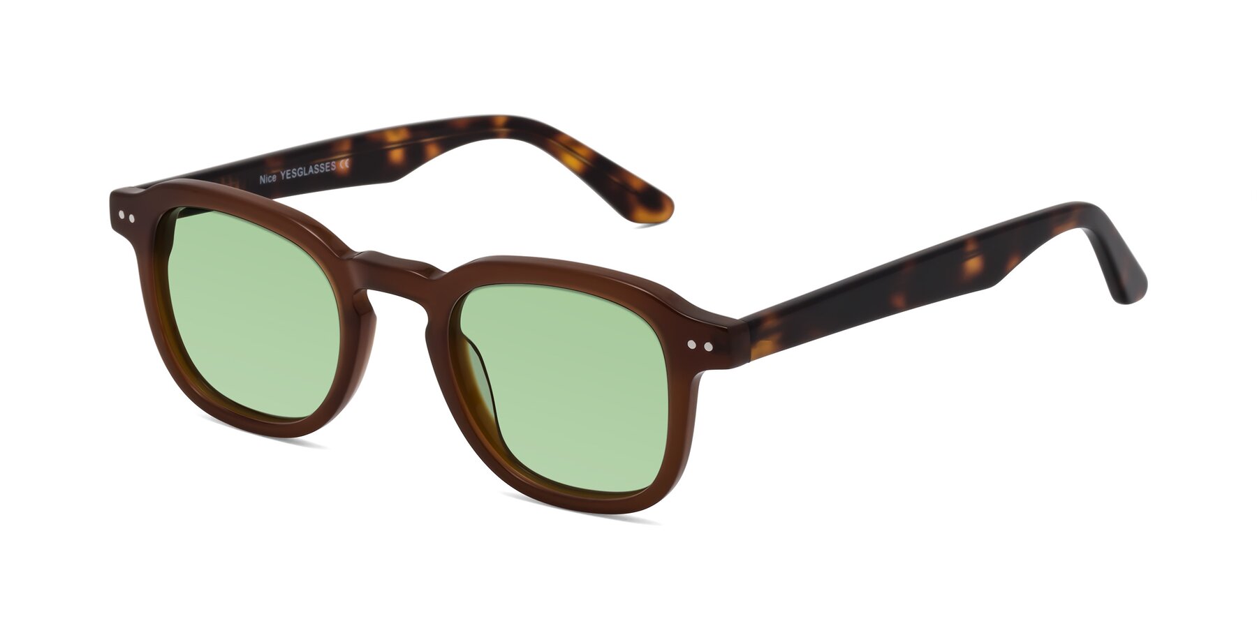 Angle of Nice in Brown-Tortoise with Medium Green Tinted Lenses