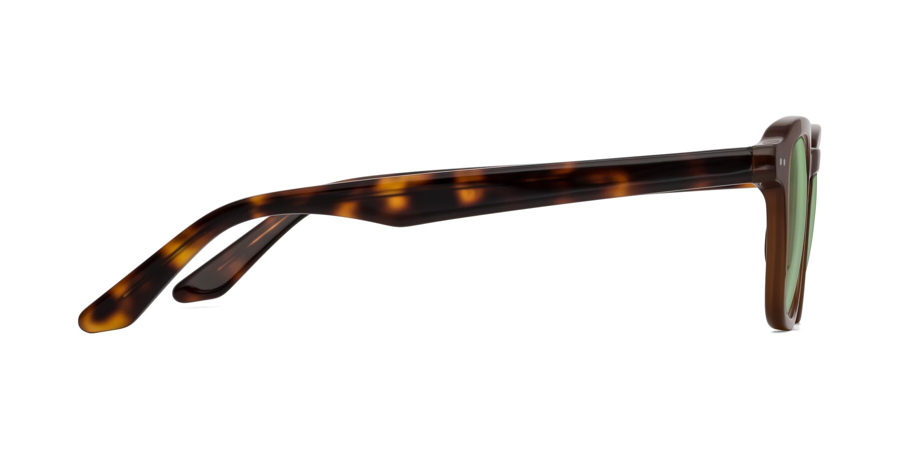 Side of Nice in Brown-Tortoise with Medium Green Tinted Lenses