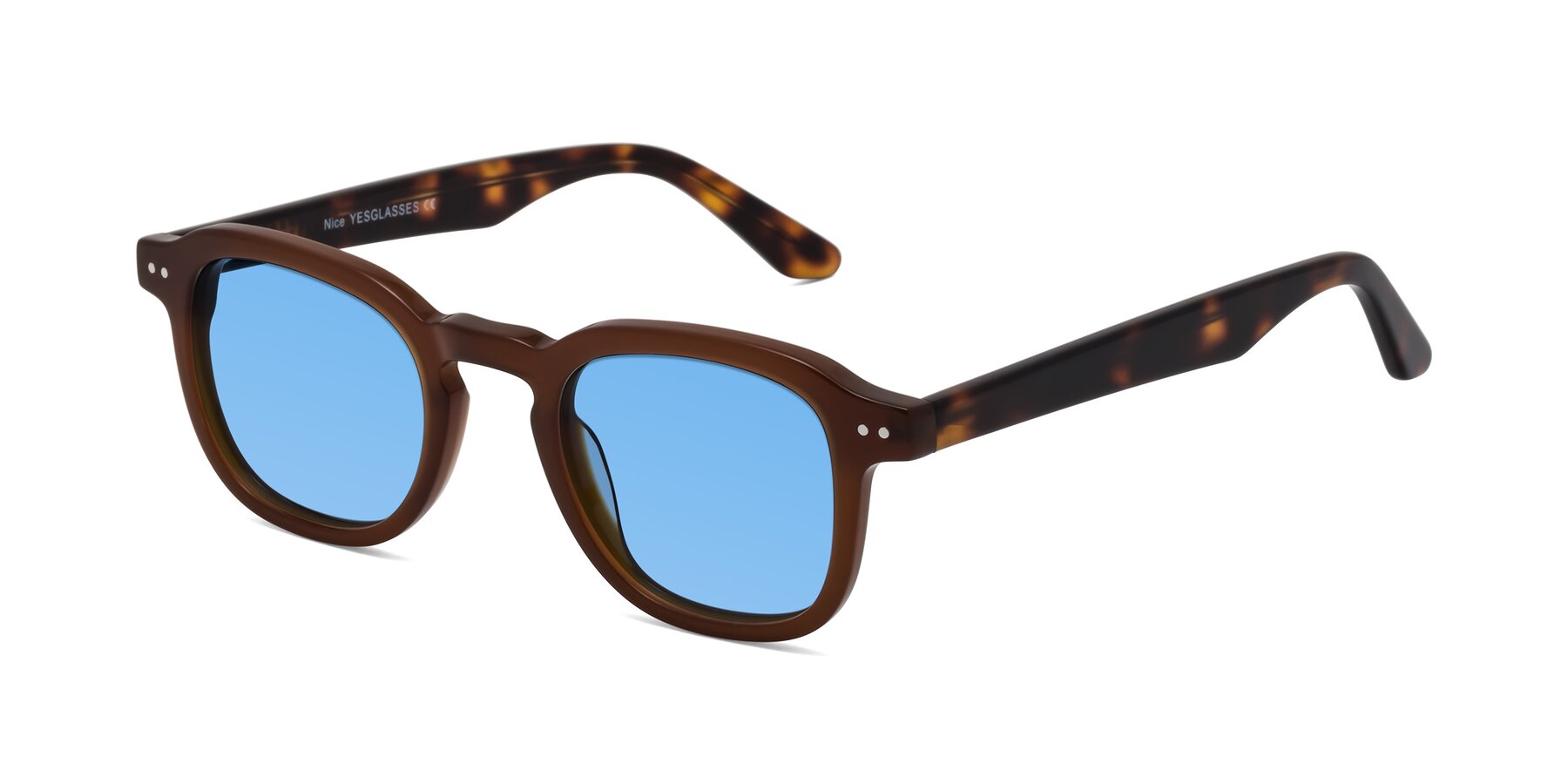 Angle of Nice in Brown-Tortoise with Medium Blue Tinted Lenses