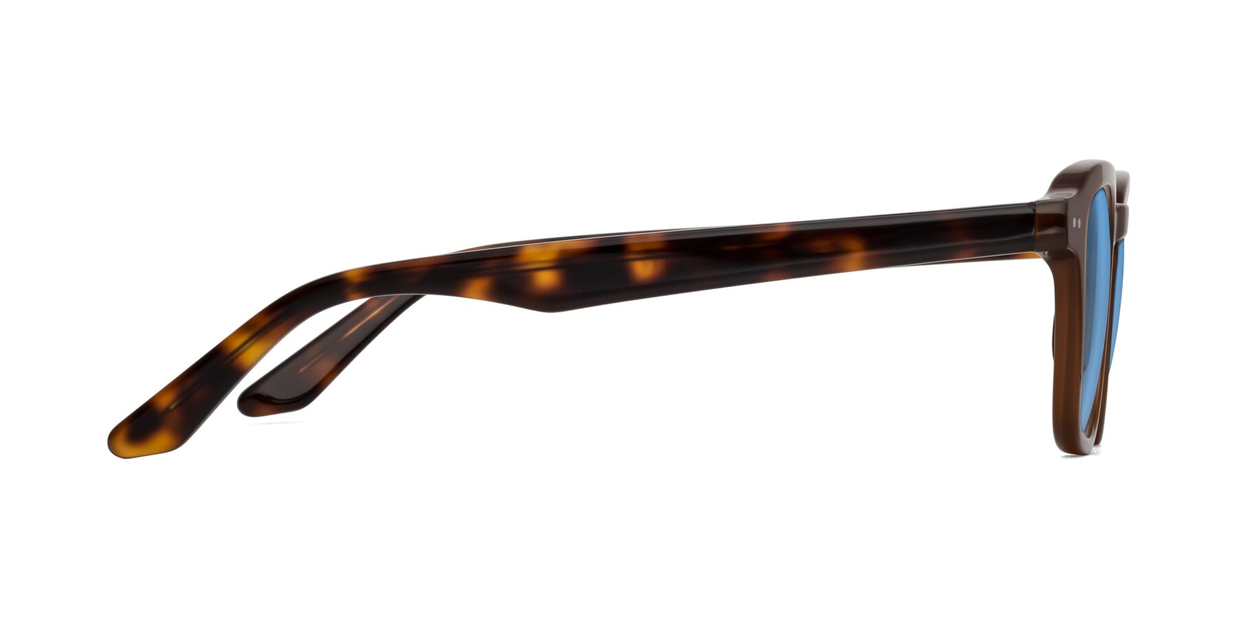 Side of Nice in Brown-Tortoise with Medium Blue Tinted Lenses