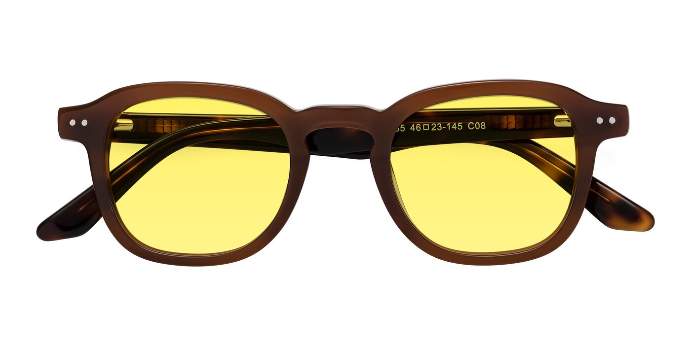 Nice - Brown / Tortoise Tinted Sunglasses