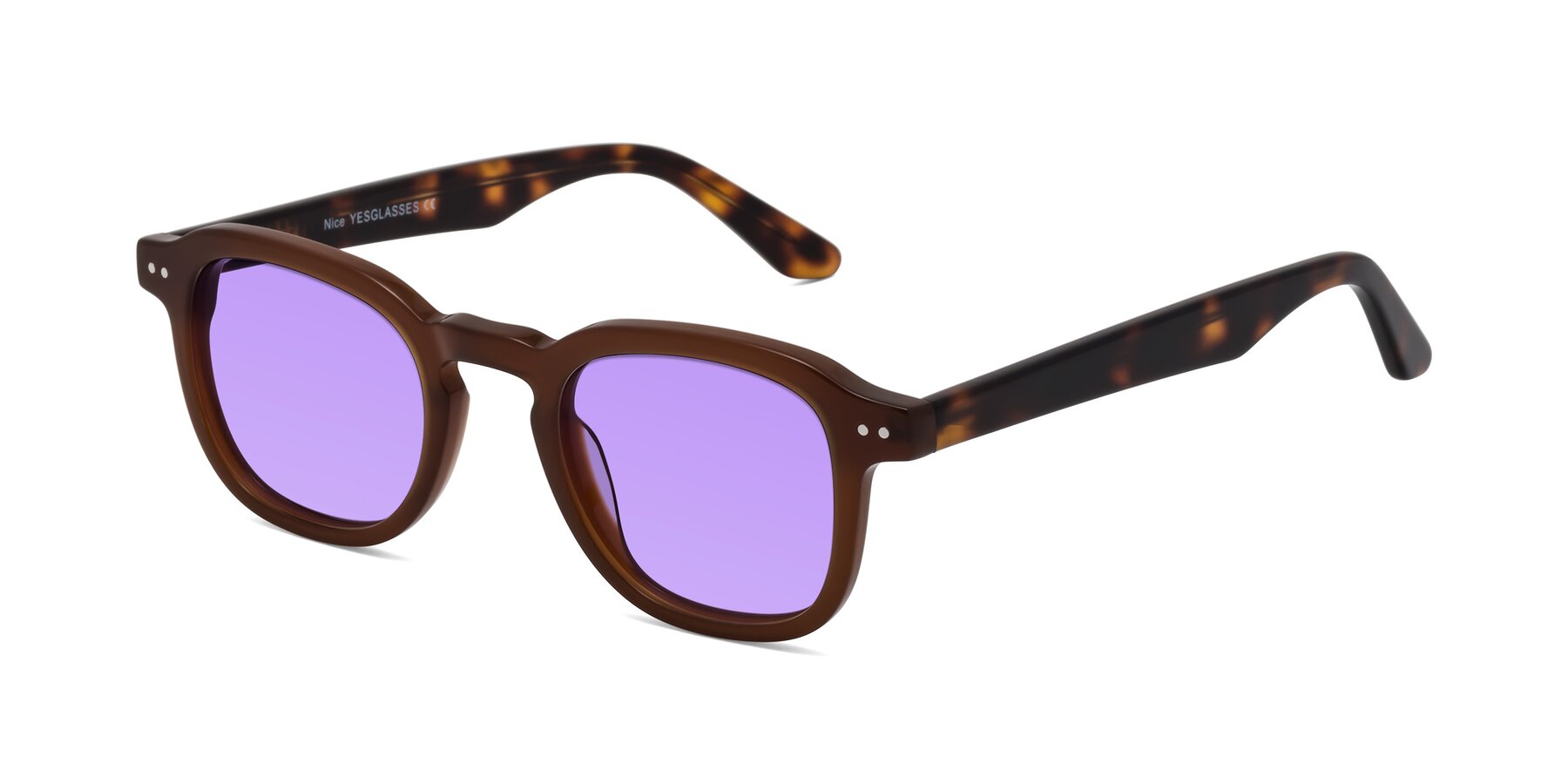 Angle of Nice in Brown-Tortoise with Medium Purple Tinted Lenses