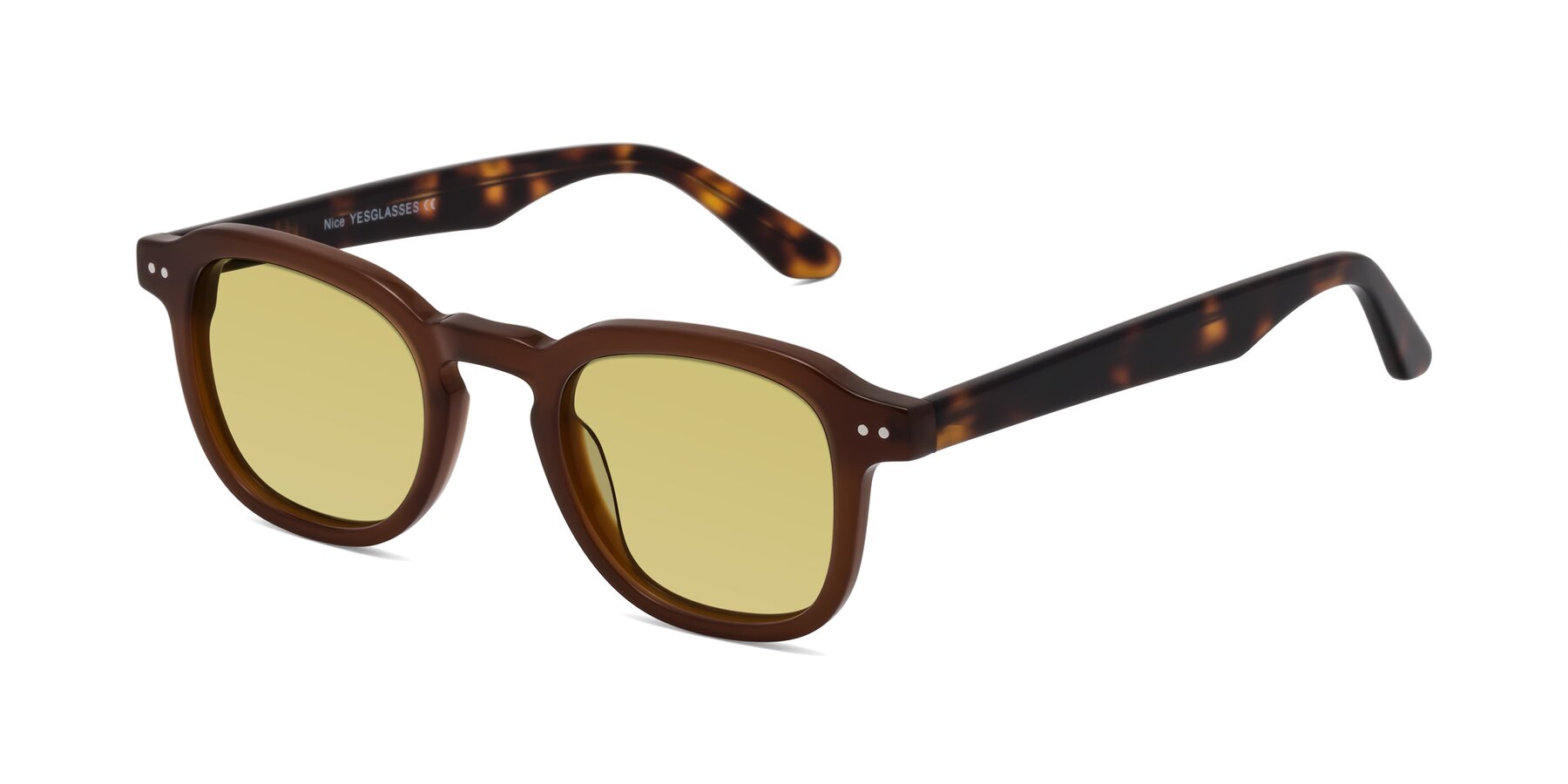 Angle of Nice in Brown-Tortoise with Medium Champagne Tinted Lenses