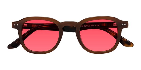 Front of Nice in Brown / Tortoise