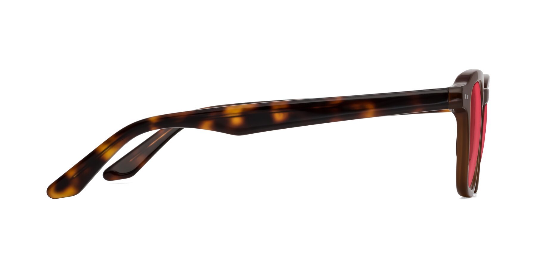 Side of Nice in Brown-Tortoise with Red Tinted Lenses