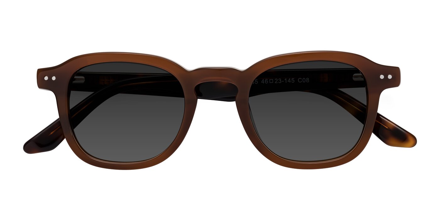 Nice - Brown / Tortoise Tinted Sunglasses