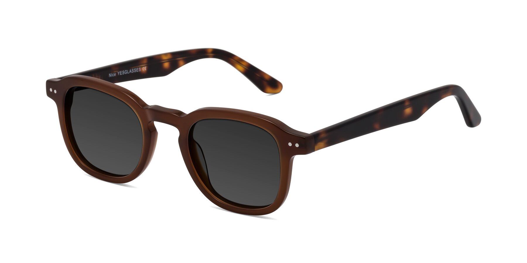 Angle of Nice in Brown-Tortoise with Gray Tinted Lenses