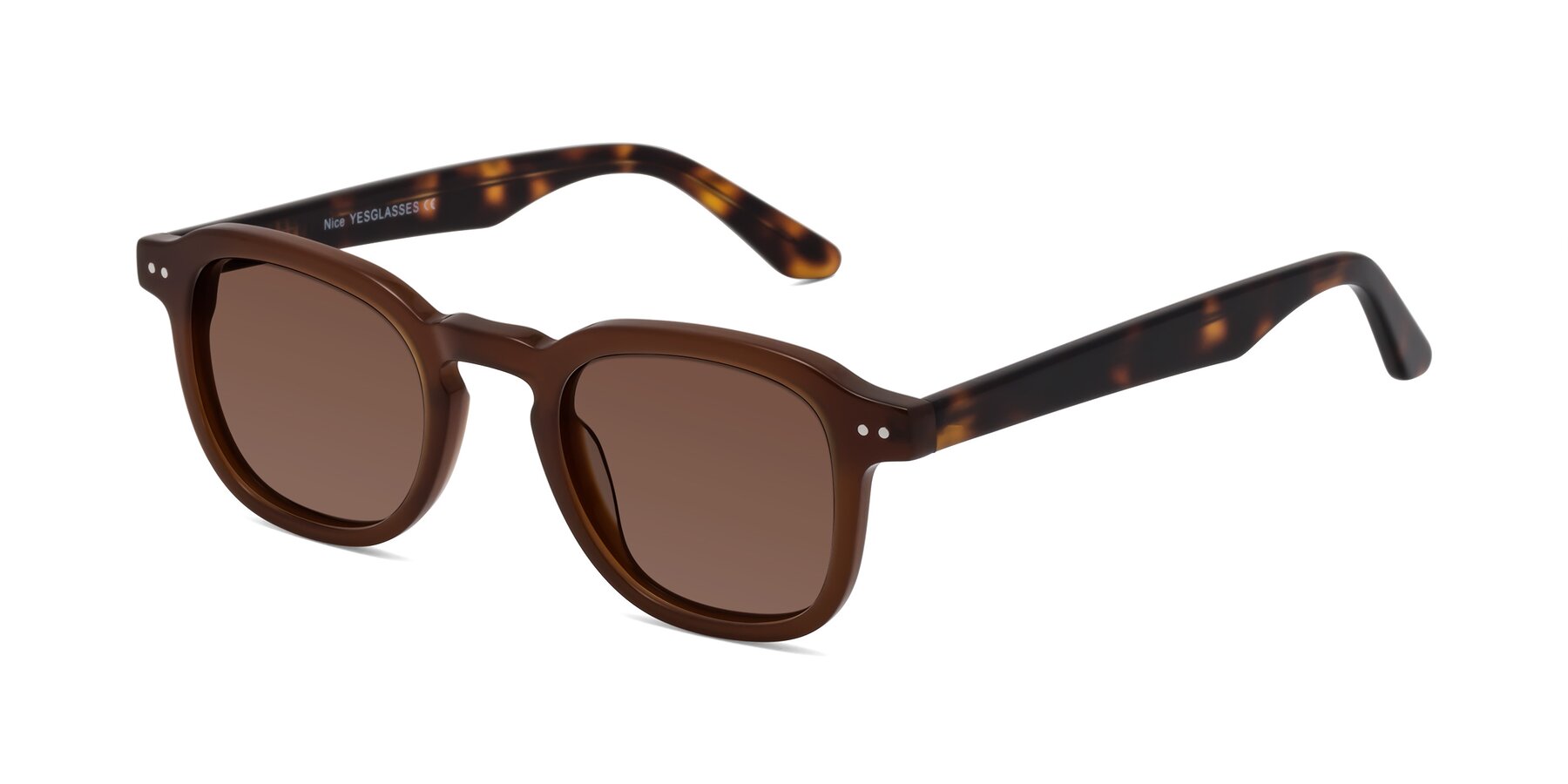 Angle of Nice in Brown-Tortoise with Brown Tinted Lenses