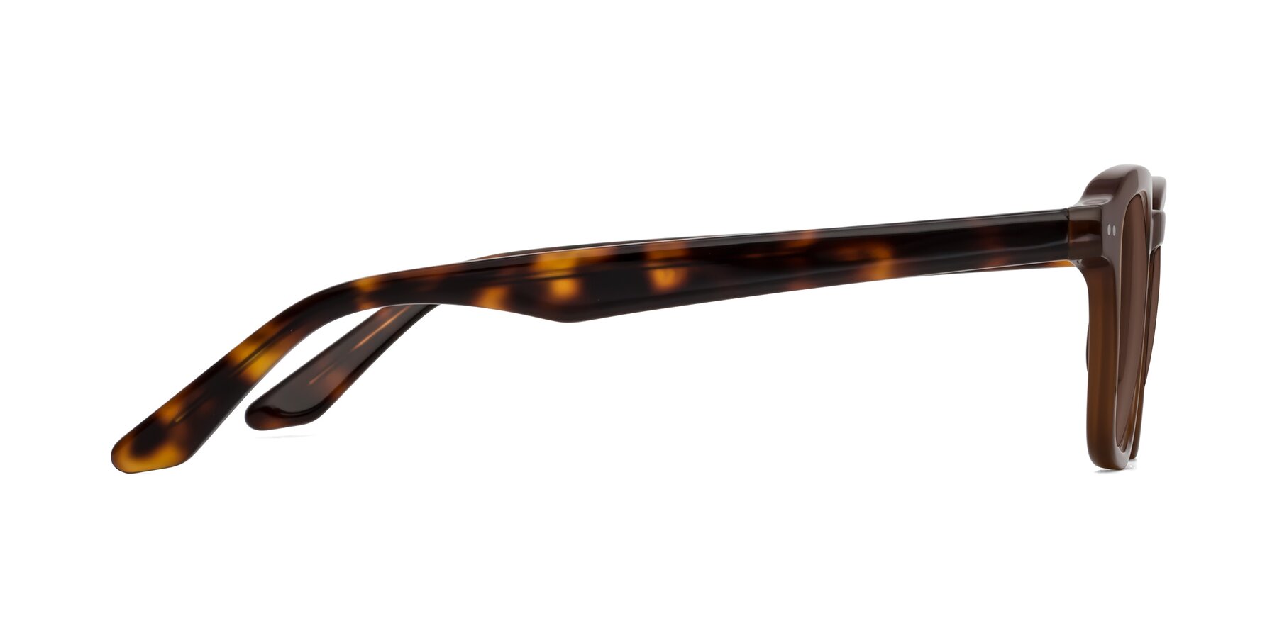 Side of Nice in Brown-Tortoise with Brown Tinted Lenses