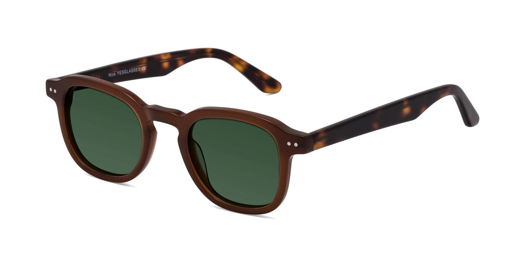 Angle of Nice in Brown-Tortoise with Green Tinted Lenses