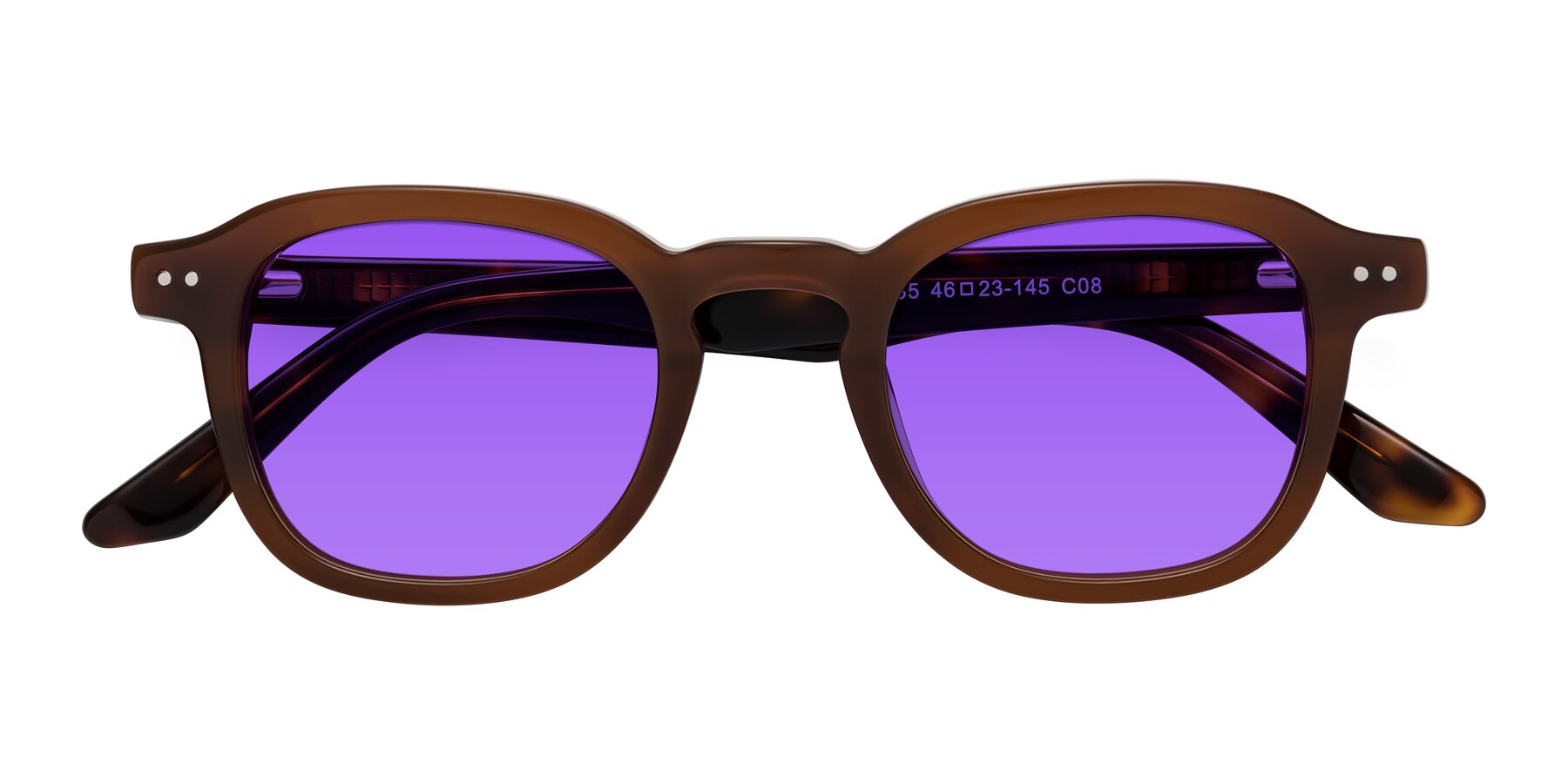 Folded Front of Nice in Brown-Tortoise with Purple Tinted Lenses