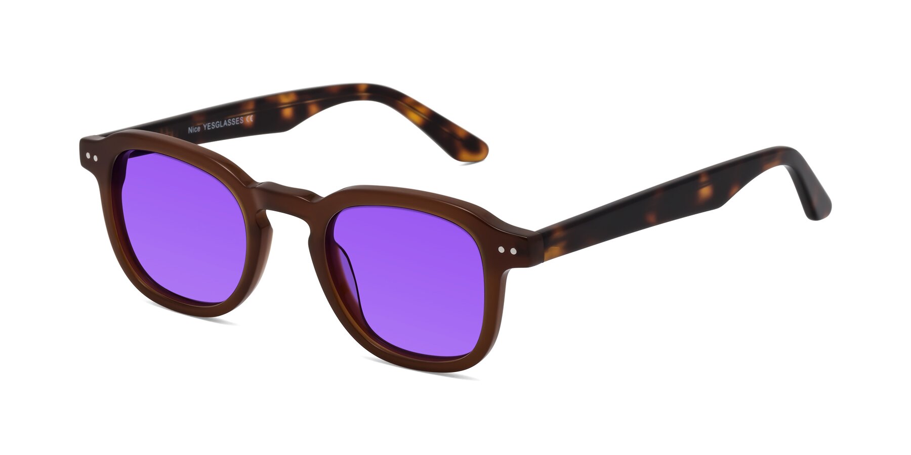 Angle of Nice in Brown-Tortoise with Purple Tinted Lenses