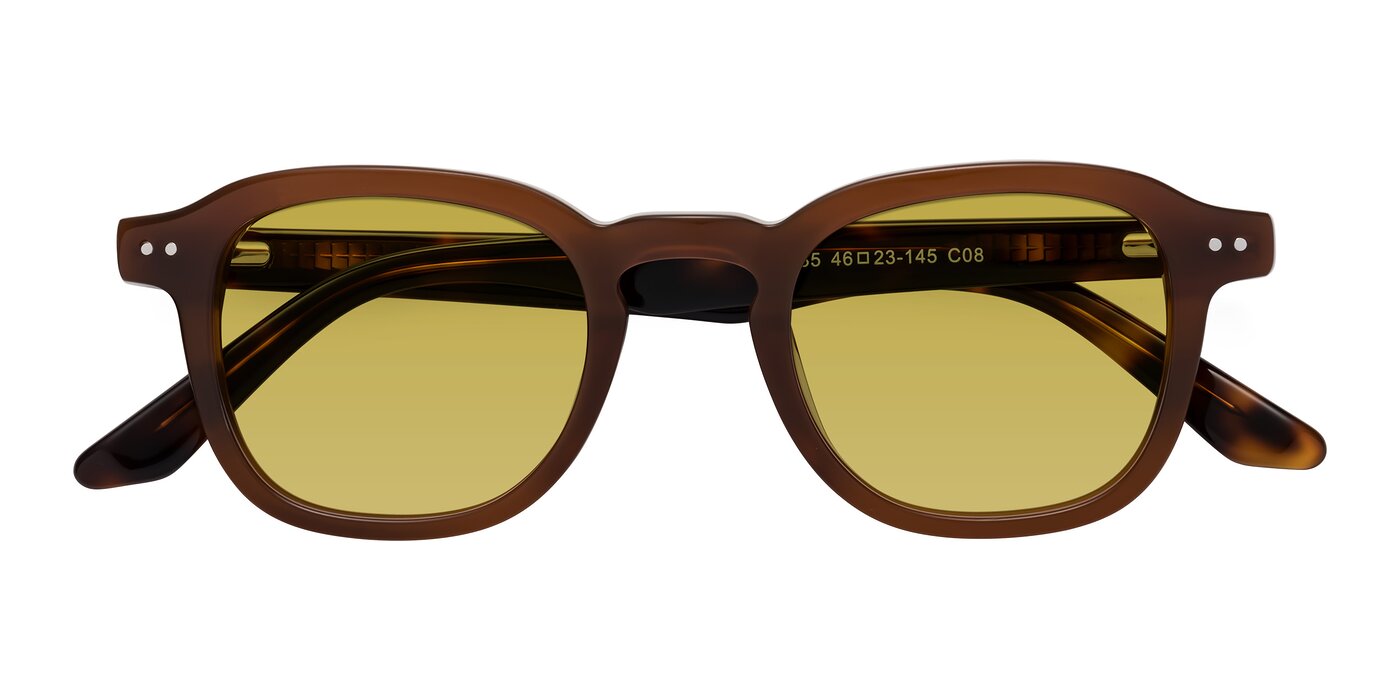 Nice - Brown / Tortoise Tinted Sunglasses