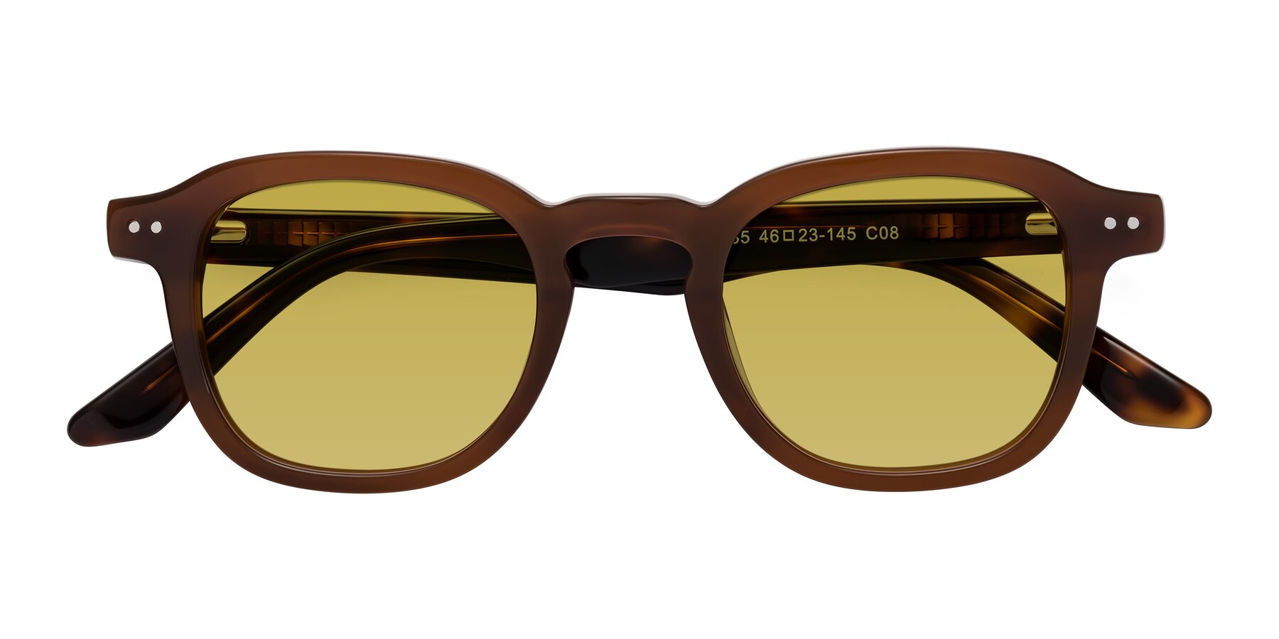 Folded Front of Nice in Brown-Tortoise with Champagne Tinted Lenses