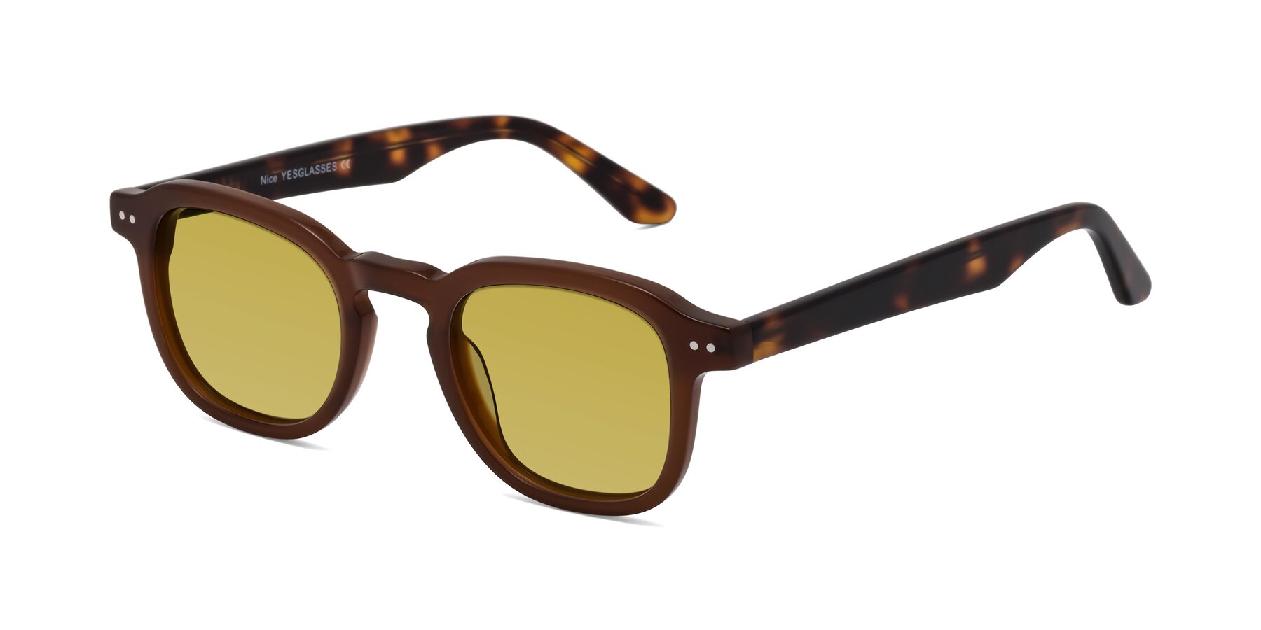 Angle of Nice in Brown-Tortoise with Champagne Tinted Lenses