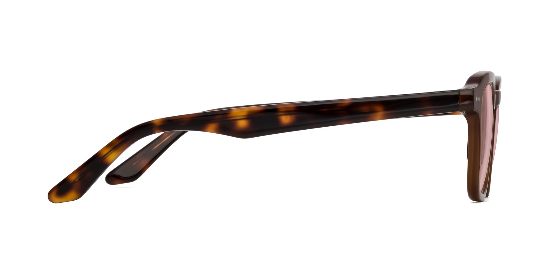 Side of Nice in Brown-Tortoise with Light Garnet Tinted Lenses