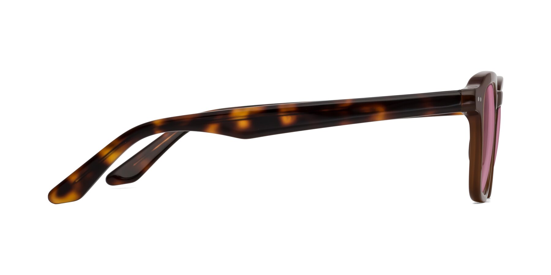 Side of Nice in Brown-Tortoise with Medium Wine Tinted Lenses