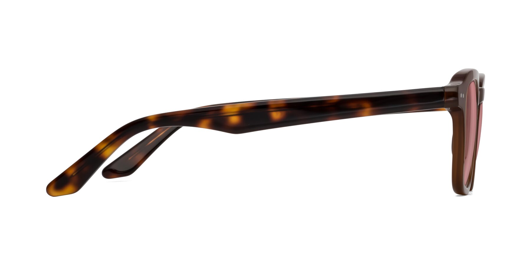 Side of Nice in Brown-Tortoise with Medium Garnet Tinted Lenses