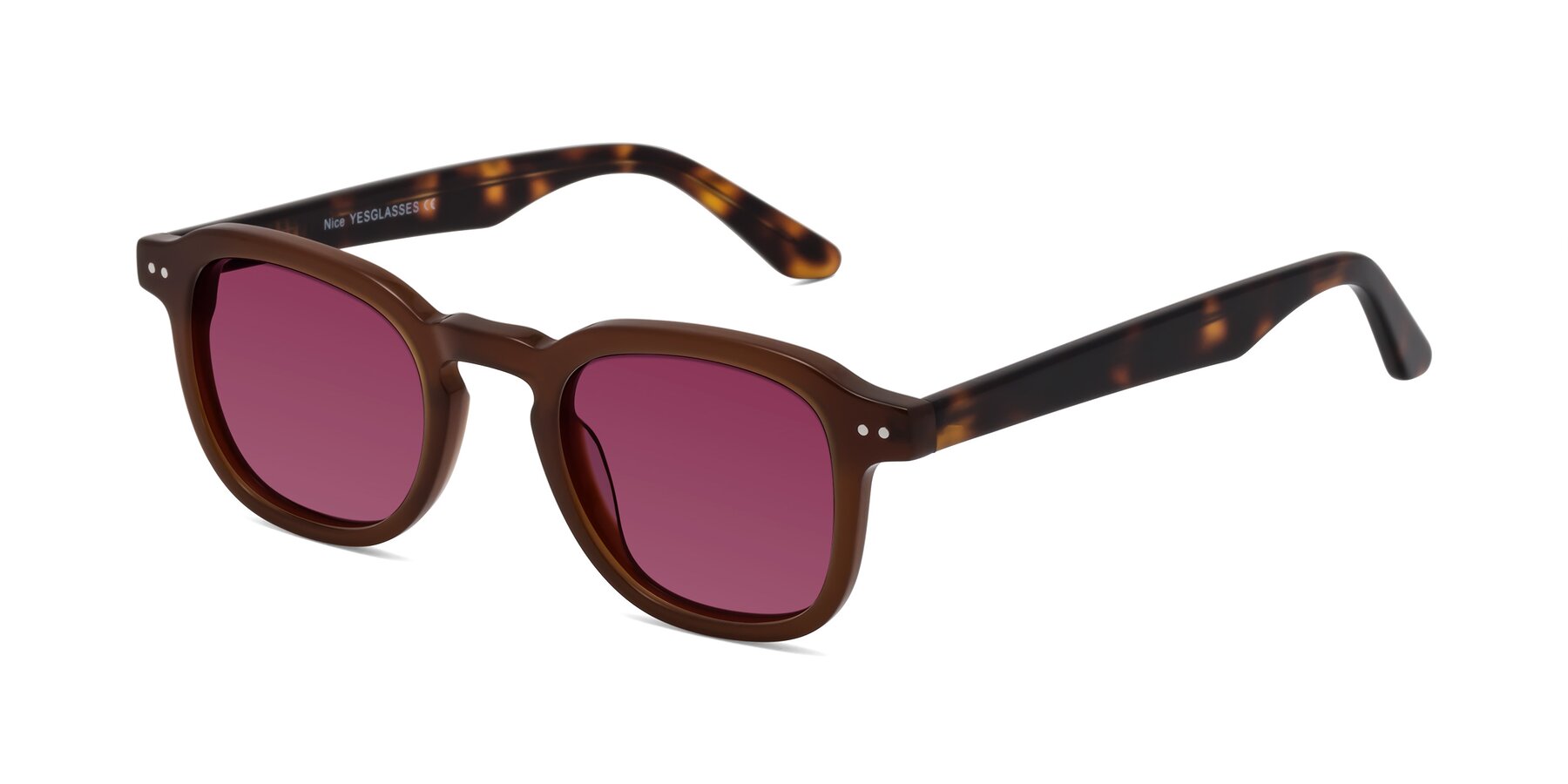 Angle of Nice in Brown-Tortoise with Wine Tinted Lenses