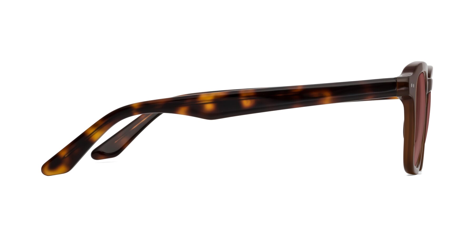 Side of Nice in Brown-Tortoise with Garnet Tinted Lenses